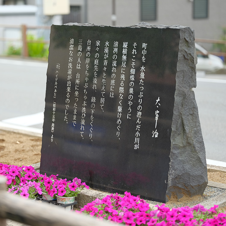 Ciudad de Mishima